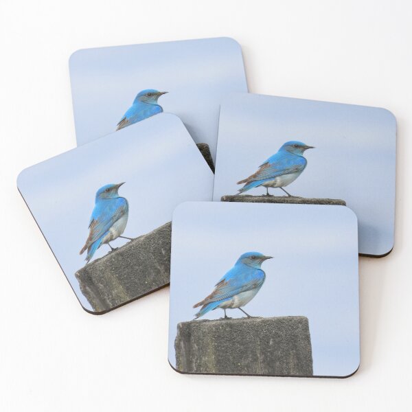 Item preview, Mountain Bluebird on fencepost designed and sold by DigitalGen.