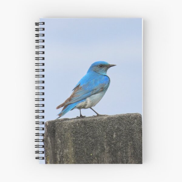 Item preview, Mountain Bluebird on fencepost designed and sold by DigitalGen.