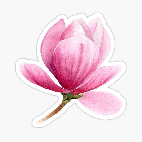 Item preview, pink magnolia designed and sold by KatherinaYang.