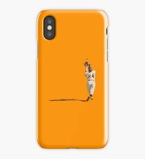 Baseball iPhone Case