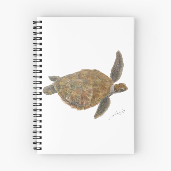 Item preview, Green Sea Turtle - Noosa Watercolour sea turtle painting with artist signature designed and sold by RachaelCurryArt.