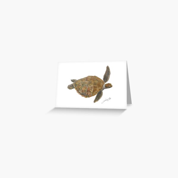 Green Sea Turtle - Noosa Watercolour sea turtle painting with artist signature Greeting Card