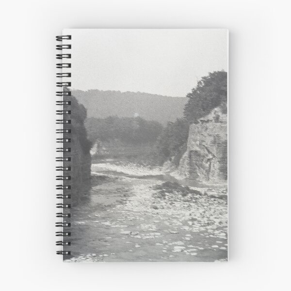 Item preview, Vintage Genesee River, NY designed and sold by BGPickers.
