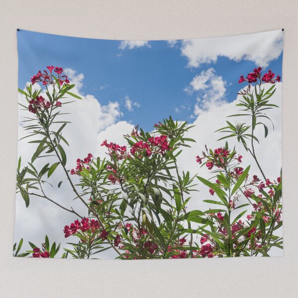 Item preview, Glorious Fragrant Oleanders Reaching for the Sky designed and sold by Georgia Mizuleva.