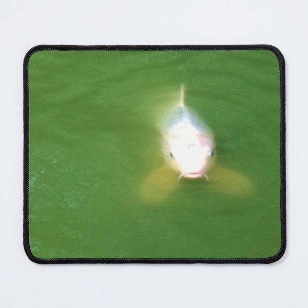 Item preview, #212 |☼| Front-Facing Fish (Elsham Hall, Gardens & Country Park) designed and sold by Naean H.F. (Nez Man).