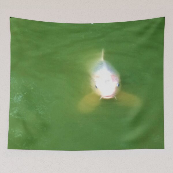 Item preview, #212 |☼| Front-Facing Fish (Elsham Hall, Gardens & Country Park) designed and sold by Naean H.F. (Nez Man).