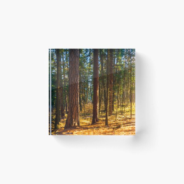 Item preview, Ponderosa and Firs designed and sold by Alison Meyer Photography.