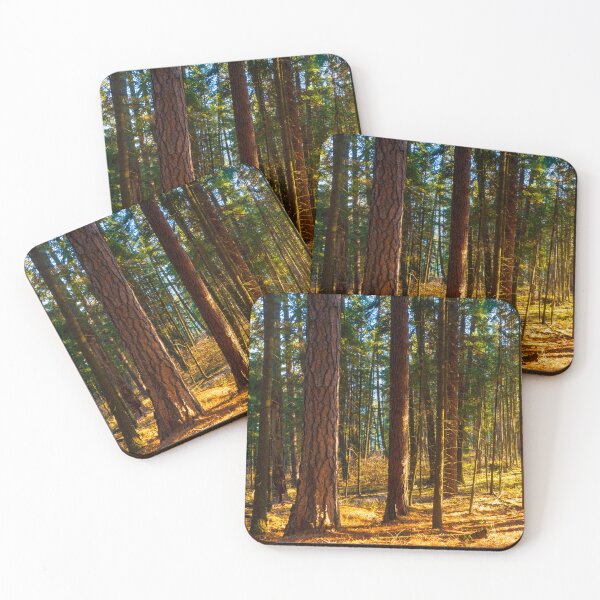 Item preview, Ponderosa and Firs designed and sold by Alison Meyer Photography.