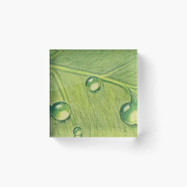 Item preview, Dewdrop on Leaf | green decor designed and sold by NathBros.