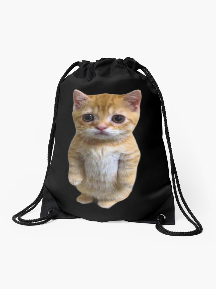 el gato gatito tiktok meme Mochila saco