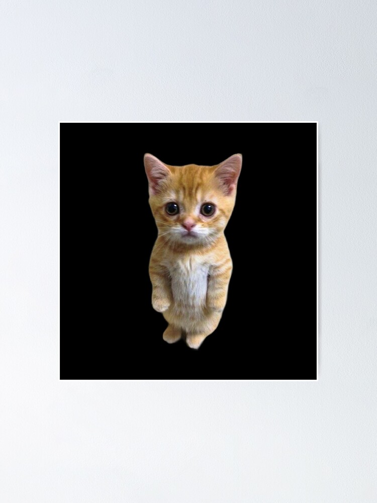 El Gato Munchkin Kitty - Gato - Posters and Art Prints
