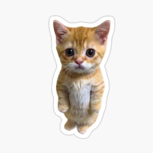 El Gato Sad Munchkin Kitty Cat  Sticker for Sale by GabrielSmithhi   Redbubble