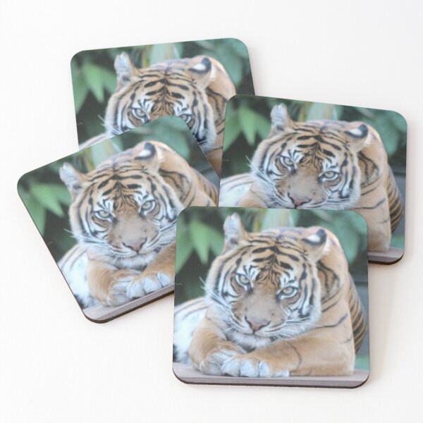 Item preview, Tiger Eyes designed and sold by smh2.