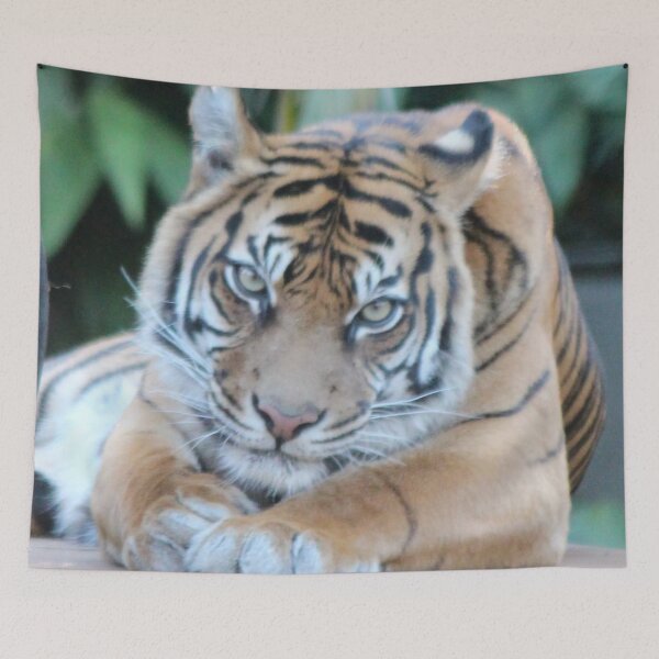 Item preview, Tiger Eyes designed and sold by smh2.