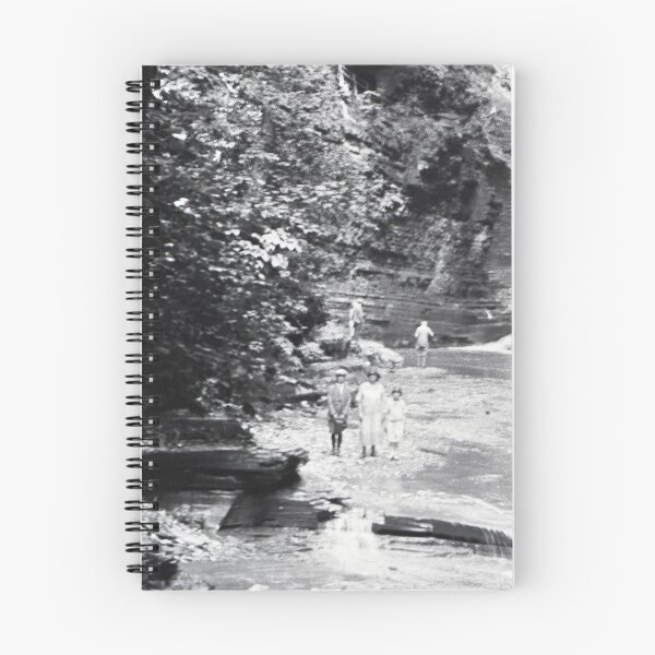 Item preview, Vintage Genesee River, NY designed and sold by BGPickers.