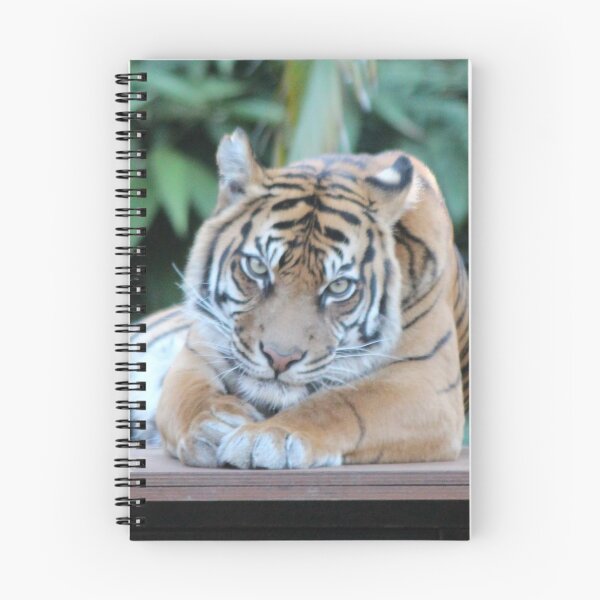 Item preview, Tiger Eyes designed and sold by smh2.
