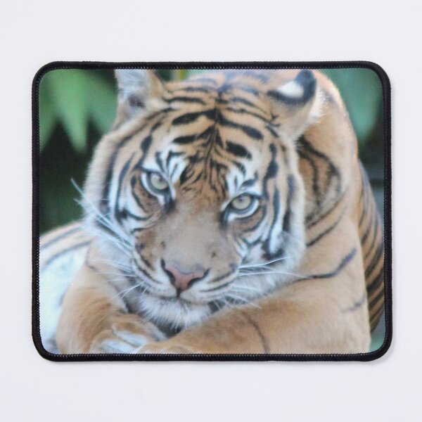 Item preview, Tiger Eyes designed and sold by smh2.