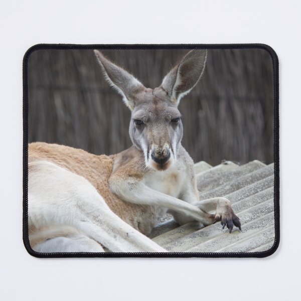 Item preview, Red Kangaroo designed and sold by smh2.