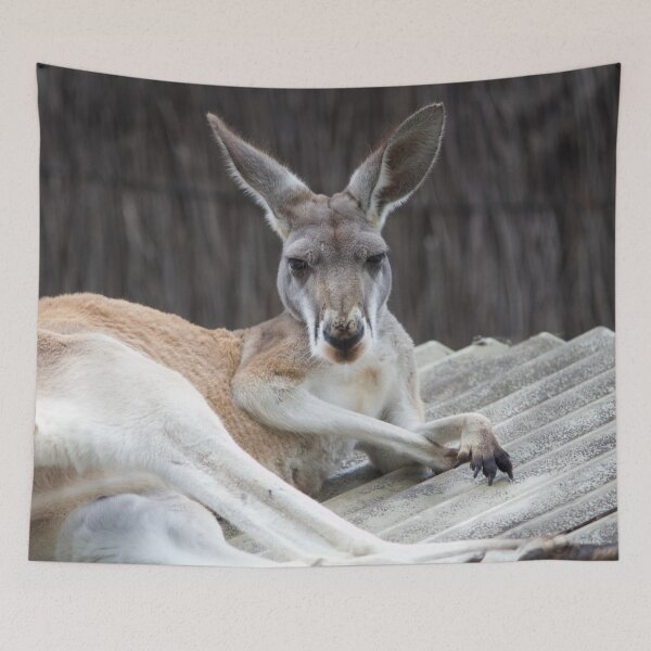 Item preview, Red Kangaroo designed and sold by smh2.