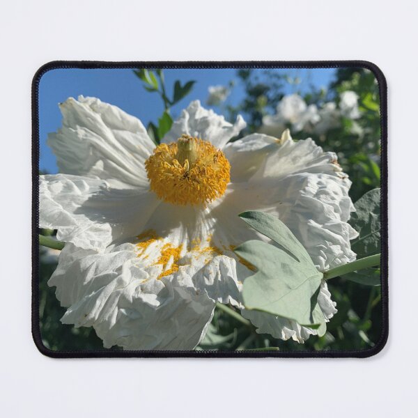 Item preview, White Poppy Flower designed and sold by agnessa38.