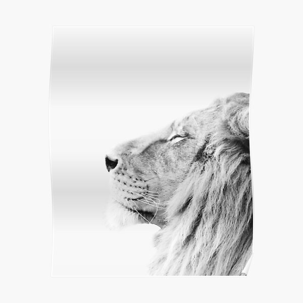 Minimal lion print Poster