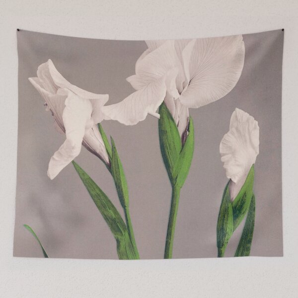 Item preview, Antique Iris Print designed and sold by jadeandjester.