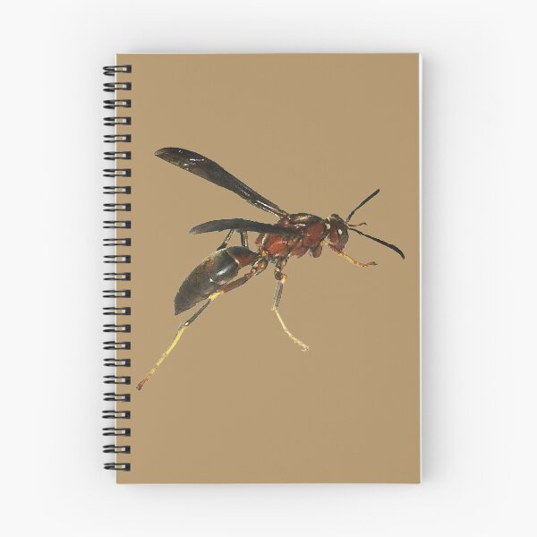 Item preview, Brown Wasp designed and sold by ATJones.