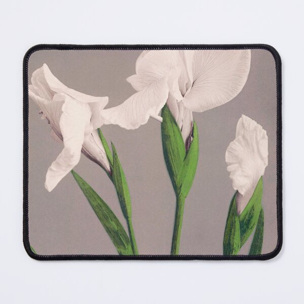 Item preview, Antique Iris Print designed and sold by jadeandjester.