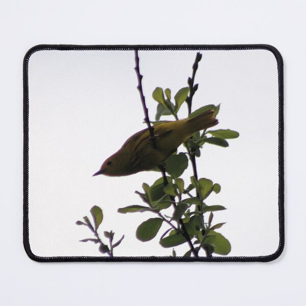 Item preview, LIL YELLOW WARBLER designed and sold by BOLLA67.