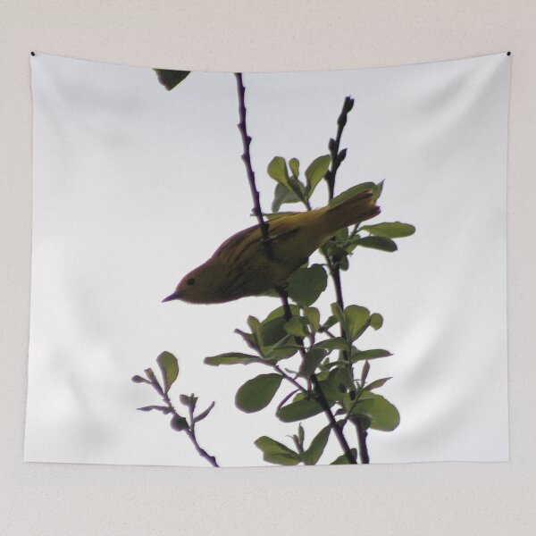 Item preview, LIL YELLOW WARBLER designed and sold by BOLLA67.