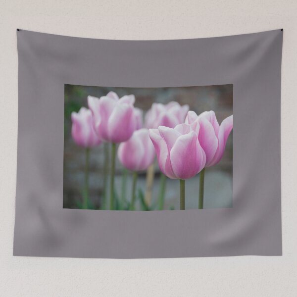 Item preview, Pink Tulips designed and sold by Carolyn Eaton.