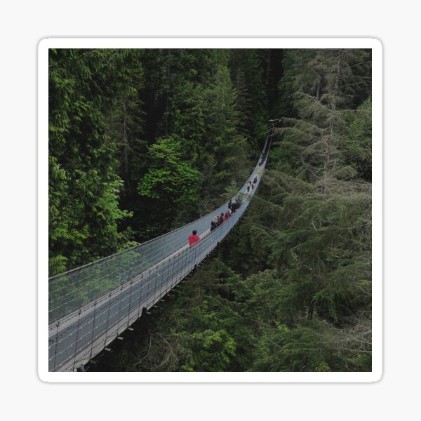 Item preview, Capilano Suspension Bridge and Forest designed and sold by jessicaleah15.