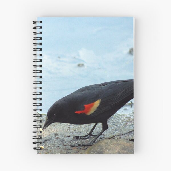 Item preview, PICKING CRUMBS designed and sold by BOLLA67.