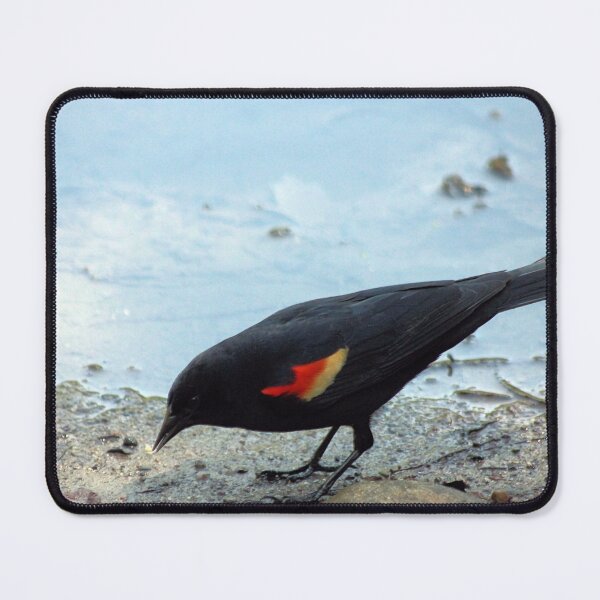 Item preview, PICKING CRUMBS designed and sold by BOLLA67.