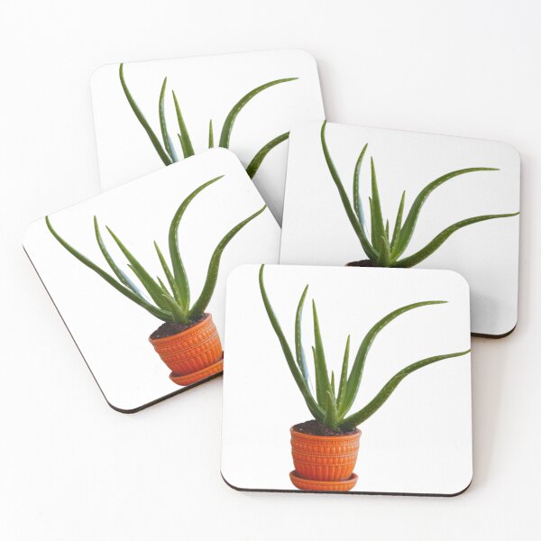 Item preview, Cool Aloe Plant designed and sold by E6Designs.