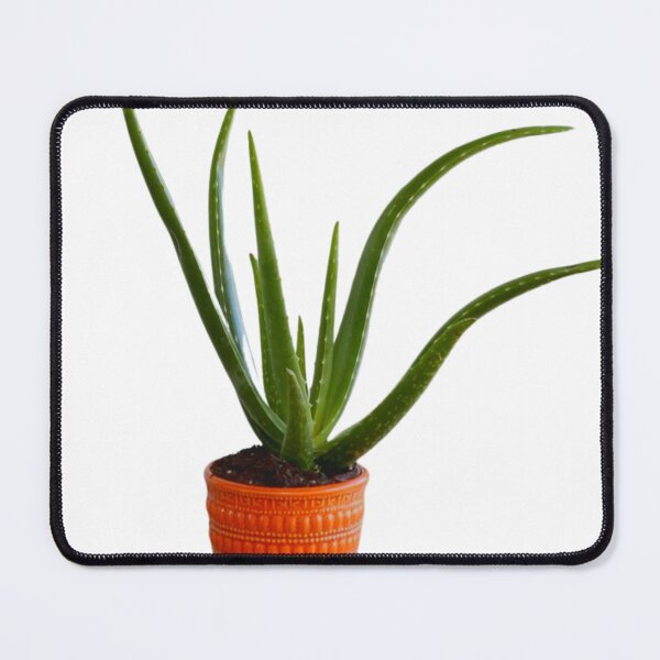 Item preview, Cool Aloe Plant designed and sold by E6Designs.