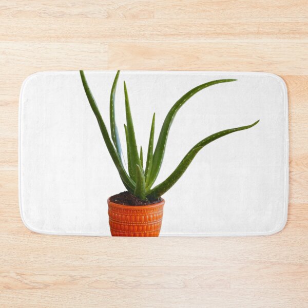 Artikelvorschau, Coole Aloe-Pflanze entworfen und verkauft von E6Designs.