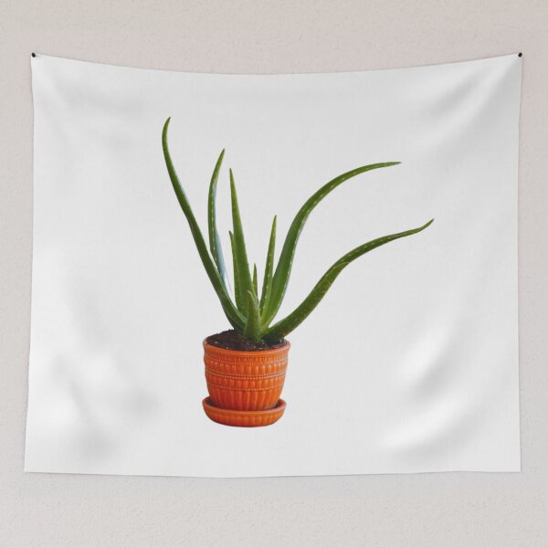 Artikelvorschau, Coole Aloe-Pflanze entworfen und verkauft von E6Designs.