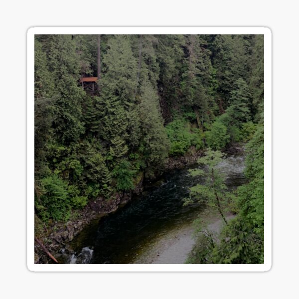 Item preview, The Lovely View of British Columbia from the Capilano Suspension Bridge designed and sold by jessicaleah15.