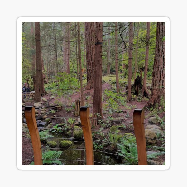 Item preview, Beauty of British Columbia Captured at the Capilano Suspension Bridge Park designed and sold by jessicaleah15.