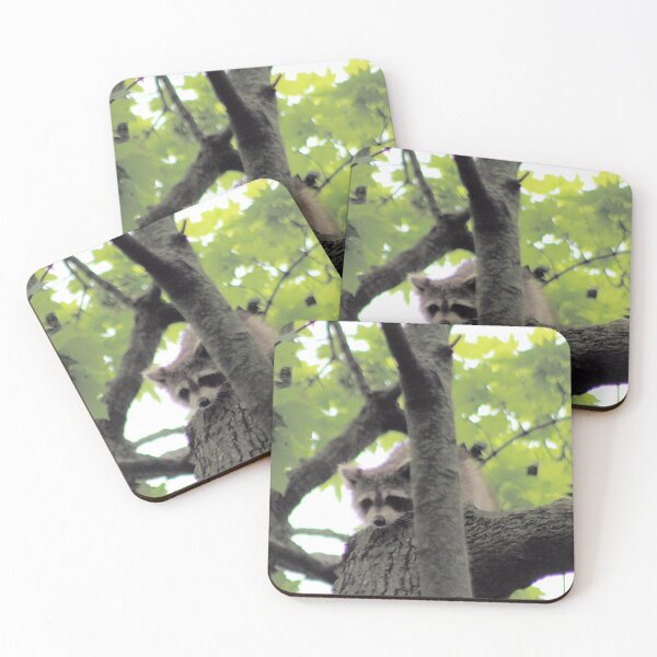 Item preview, TREETOP DWELLER 3 designed and sold by BOLLA67.