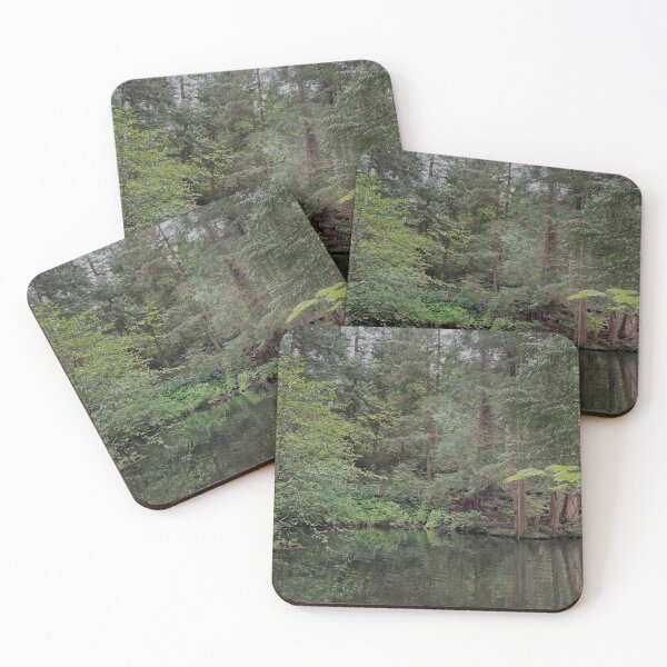 Item preview, Spring in British Columbia Captured at the Capilano Suspension Bridge Park designed and sold by jessicaleah15.