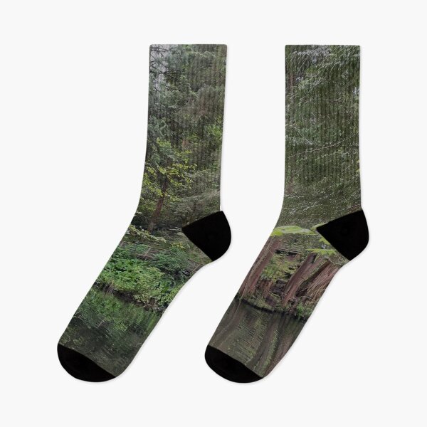 Item preview, Spring in British Columbia Captured at the Capilano Suspension Bridge Park designed and sold by jessicaleah15.