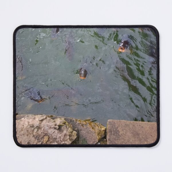 Item preview, #213 |☼| Many Fish (Elsham Hall, Gardens & Country Park) designed and sold by Naean H.F. (Nez Man).