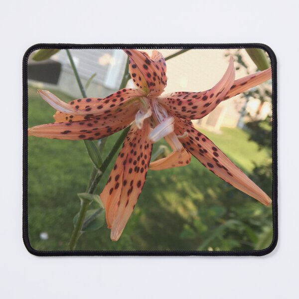 Item preview, Weird Lily designed and sold by Amanda1775.
