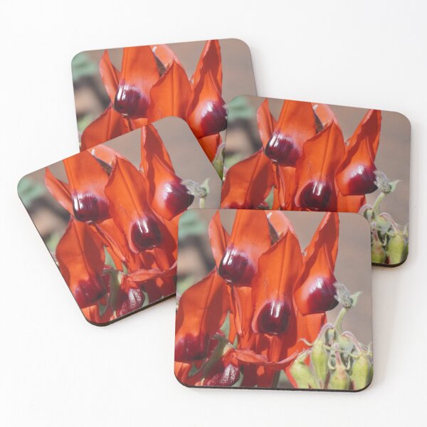 Item preview, Sad Red Face of a Sturt Desert Pea designed and sold by Annalucia.