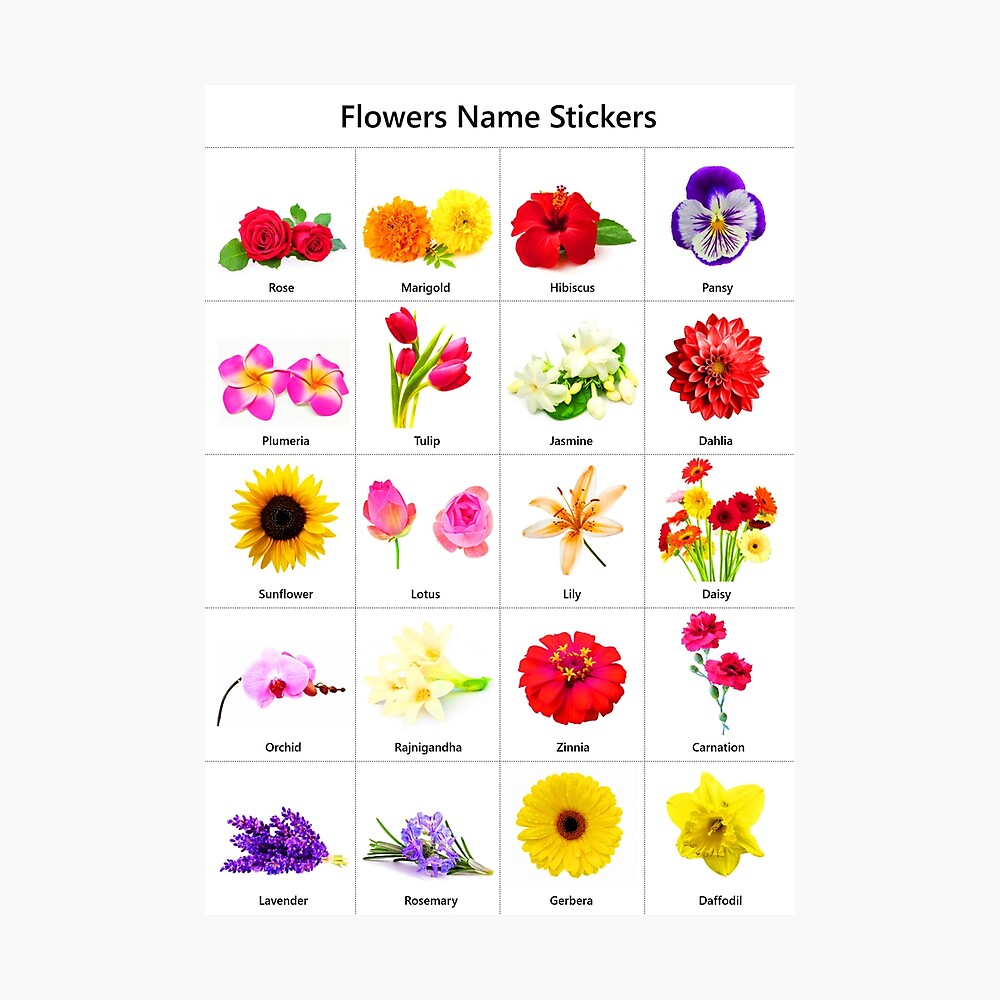 Vintage Flowers Names