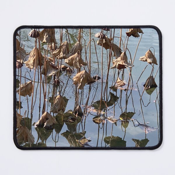Item preview, Lotuses designed and sold by agnessa38.