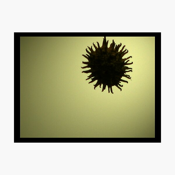 Item preview, Black & Gold #3 designed and sold by Rebecca Jarboe.