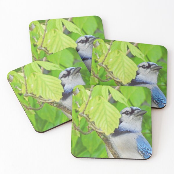Item preview, bluejay designed and sold by corinthiansgirl.